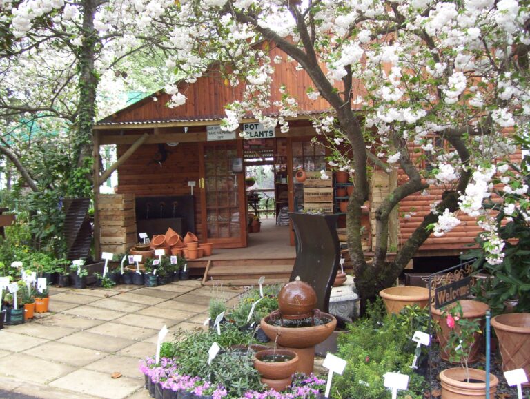 413649 461754793902109 72317168 o 768x578