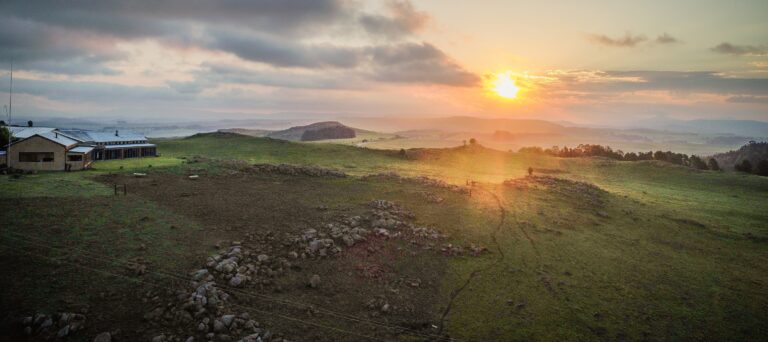 24210438 1502462673204307 6679964448267636651 o 768x342