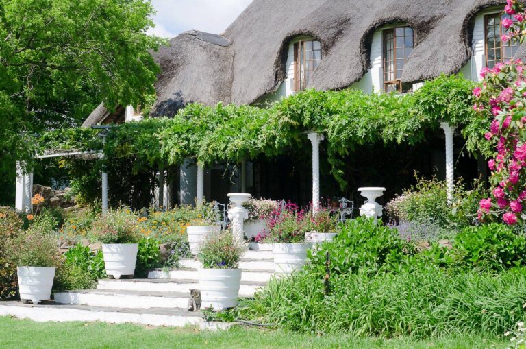 46821446 2442411009108786 8205785583105081344 n 768x509