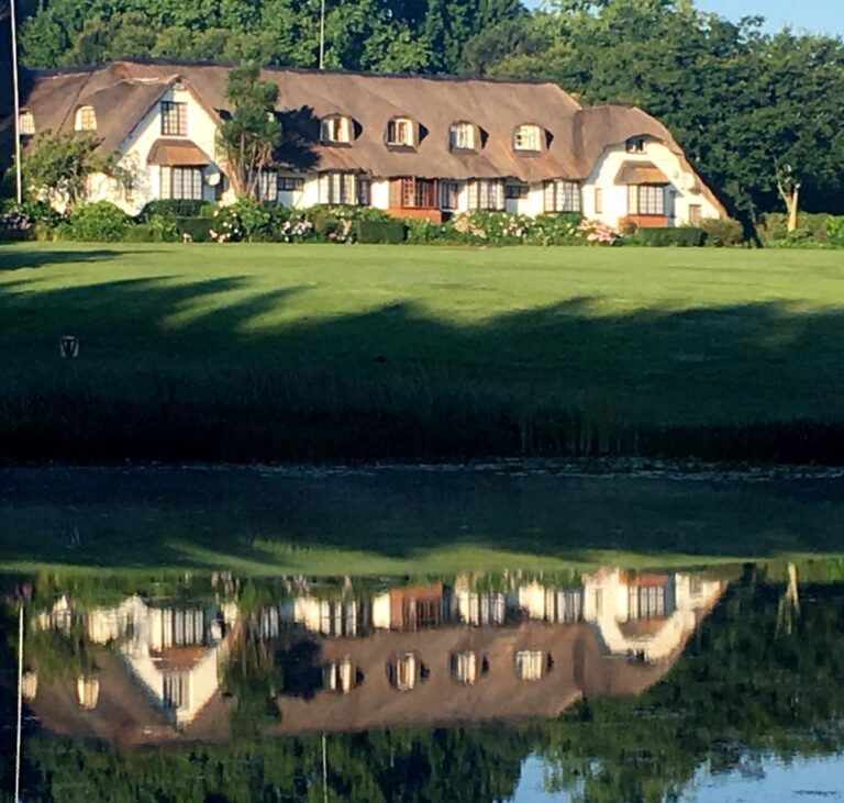 49144941 2492214920795061 8193766688357875712 n 768x731