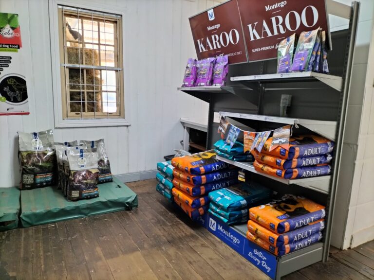 IMG20240417101459 Medium 768x576