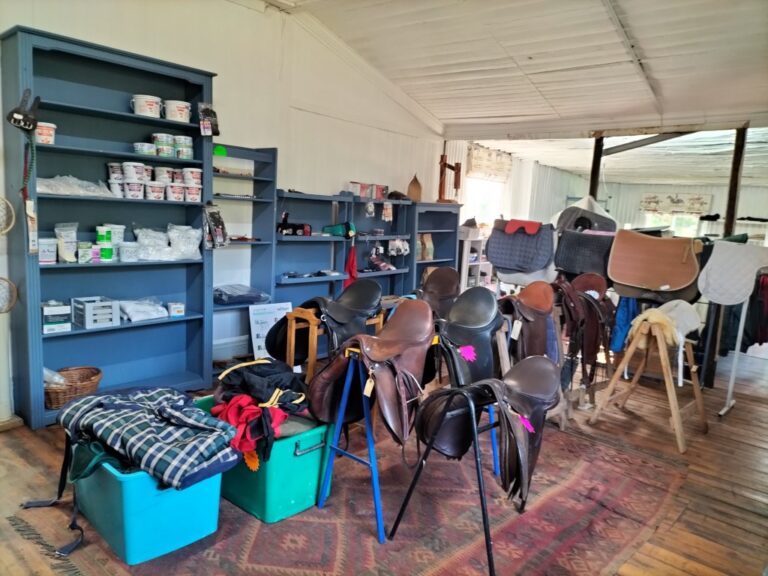 IMG20240417101803 Medium 768x576