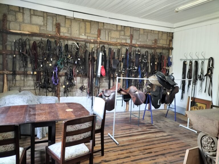 IMG20240417101826 Medium 768x576