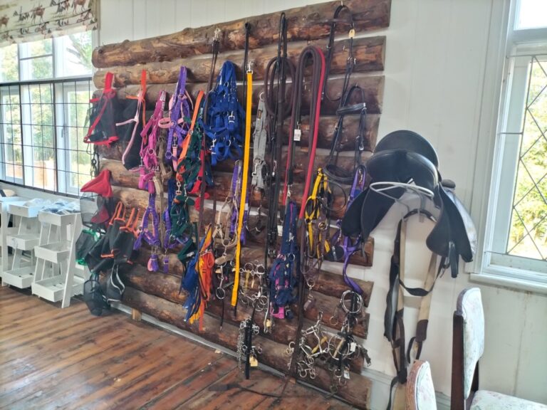 IMG20240417101849 Medium 768x576