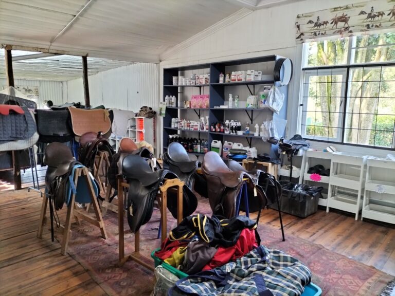 IMG20240417101912 Medium 768x576