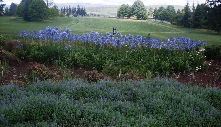 506806662 29783061178003981 8974394699584566057 n 768x443